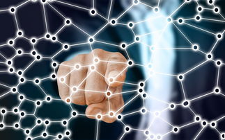 爱游戏中国官方网站平台-中国篮球职业联赛青训体系的结构优化，中国青年篮球联赛简称