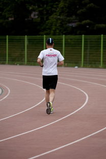 爱游戏平台-高校运动训练效果科学评估研究，运动训练高校排名
