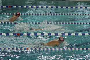 爱游戏娱乐网址-中国游泳运动员世锦赛接力项目表现抢眼，中国游泳接力夺金