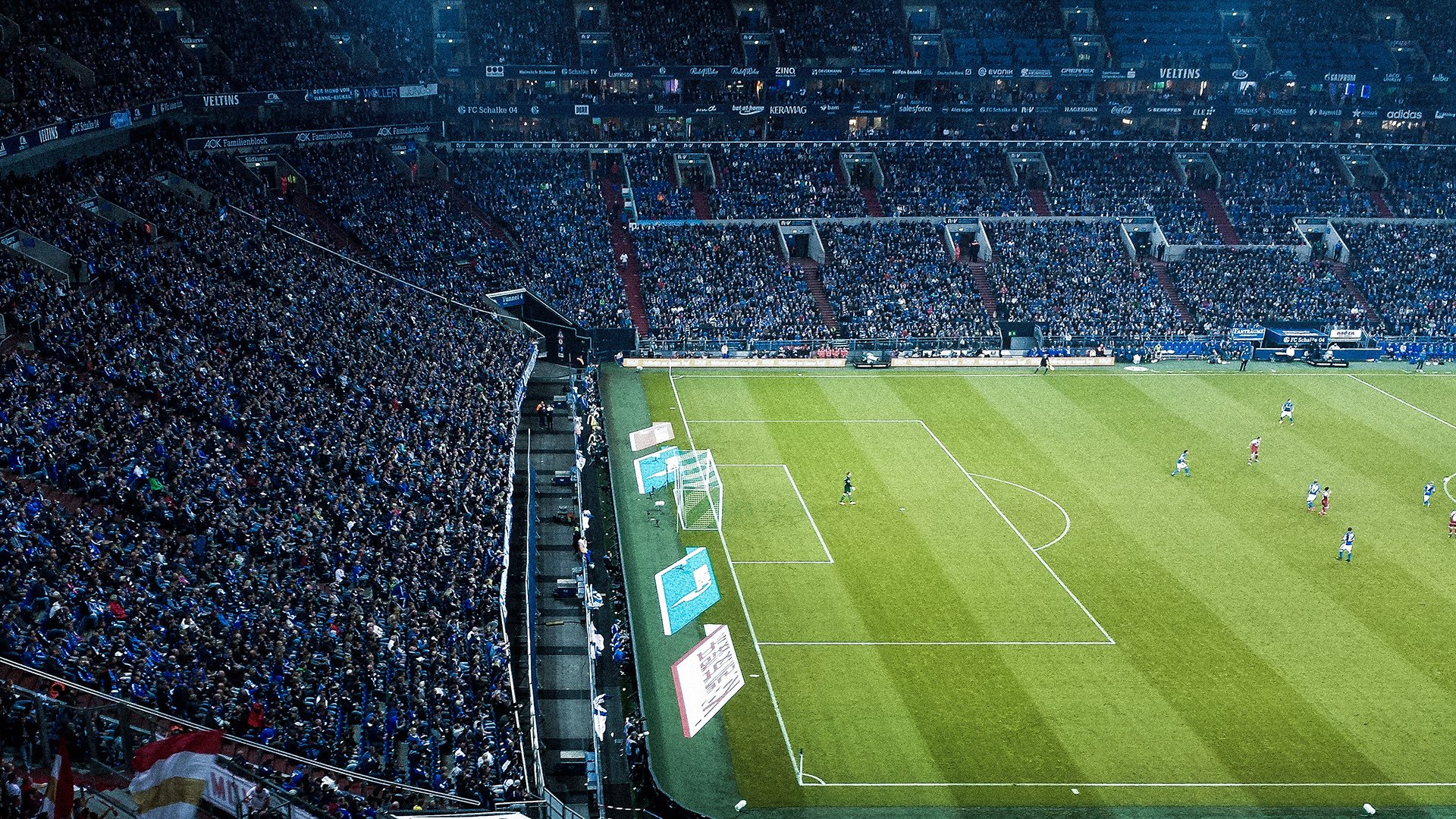 全球车迷：比赛外的文化交流，全球车系